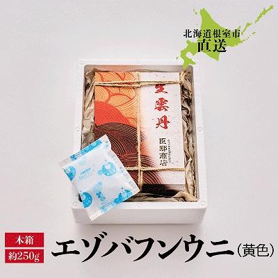 ふるさと納税 根室市 エゾバフンウニ(黄色)約250g×1折 D-22001 |  | 03