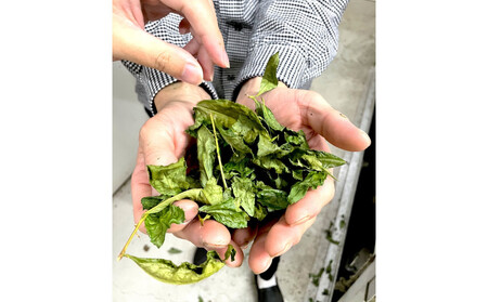 抹茶書®キット （松蘭オリジナル抹茶書色紙作品付き）