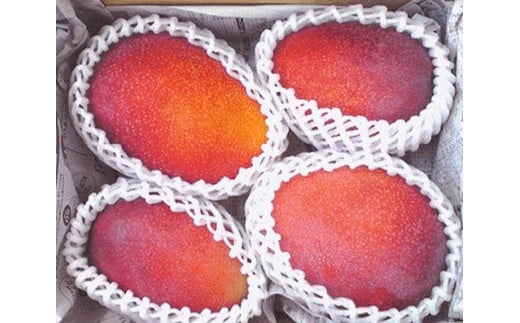 再生紙使用・茶色エコダンボール入り、梱包材は新聞紙（フルーツキャップ付き）