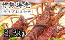 【先行予約】【ふるさと納税】伊勢海老3.3kg（サイズおまかせ高知県産）※着日指定不可※エビ 甲殻類 海鮮BBQ アウトドア キャンプ お祝い いせえび 伊勢えび イセエビ 海老 刺身 お刺身 鍋 お味噌汁 海鮮 魚介類 海の幸 故郷納税 高知県 土佐清水市 送料無料 【R00730】