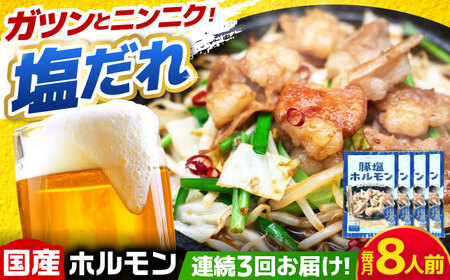 【3回定期便】岐阜県産豚もつの鉄板焼き「元祖みたけとんちゃん」豚塩味（8人前）[AVAA061]豚肉 定期