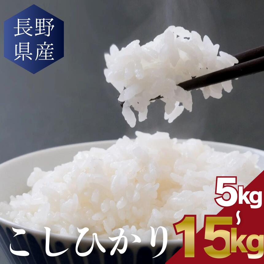 【ふるさと納税】【選べる】こしひかり 5kg～15kg │信州 松本市 米 お米 コシヒカリ こしひかり アルプス 国産米 長野県産 おすすめ 白米 ふっくら 農家 ふるさと納税 松本市 美味しい