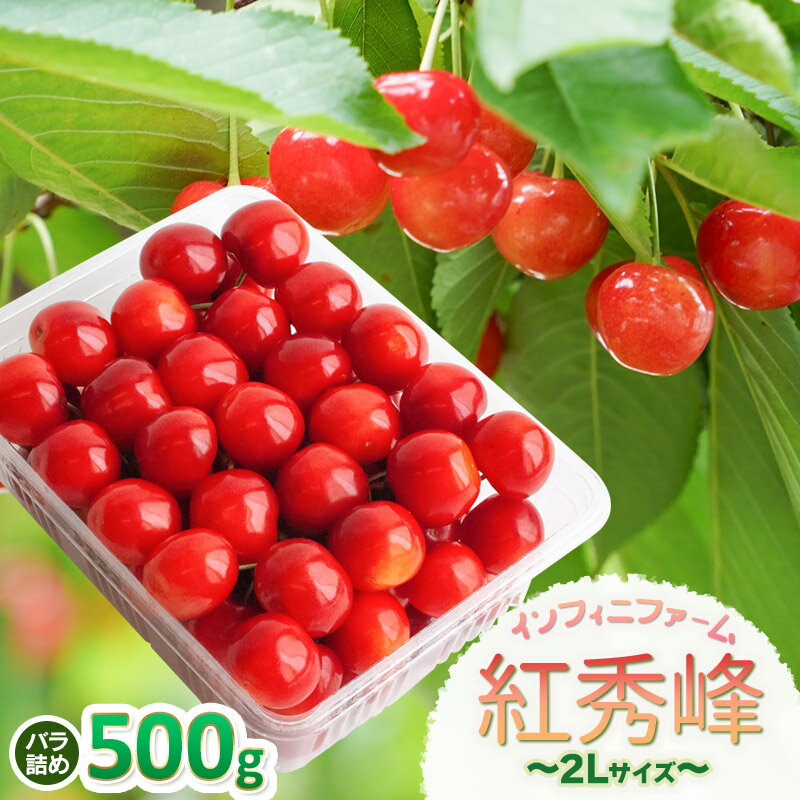 【ふるさと納税】【令和8年産先行予約】インフィニファームのさくらんぼ「紅秀峰」バラ500g（2Lサイズ～）　K-848