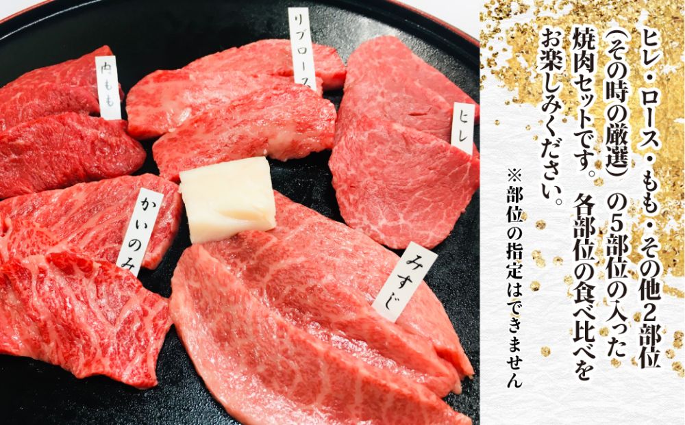 A5等級 飛騨牛 希少部位 焼肉セット 250g 5種食べ比べ ( ヒレ / ロース / もも など ) | A5 肉 焼肉 和牛 ブランド牛 牛肉 黒毛和牛 食べ比べ 盛り合わせ 贈答 飛騨高山 天