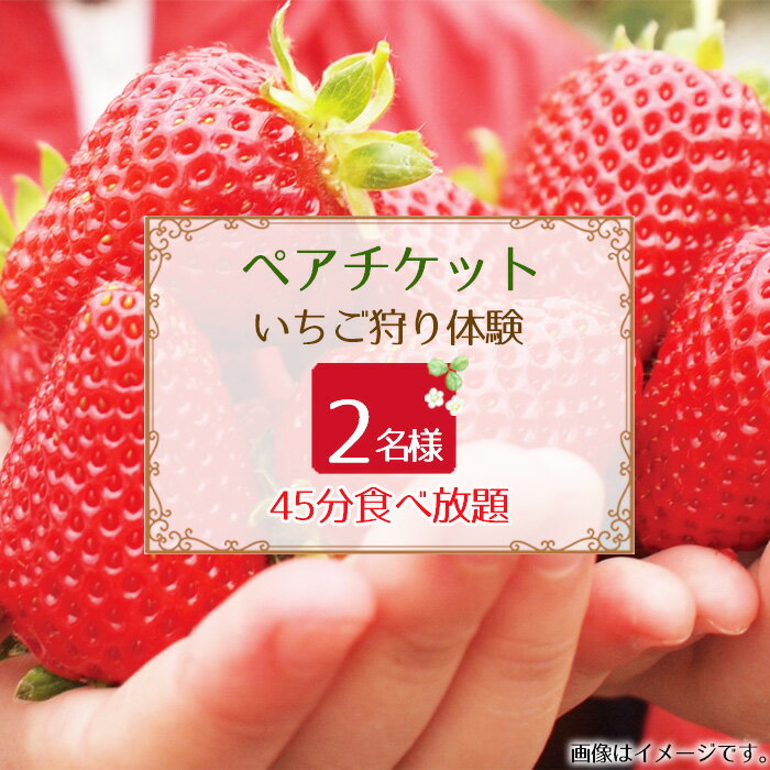 【ふるさと納税】 苺狩り　ペアチケット ／ いちご イチゴ うま味 コク 紅ほっぺ 星の煌めき おいCベリー 宝交早生 果物 フルーツ 券 送料無料 大阪府 No.395