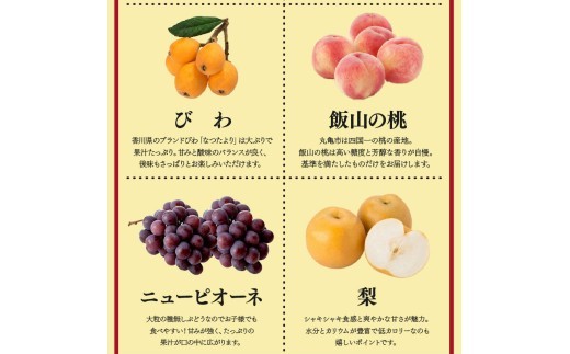【定期便6回】 【お試しパック】 フルーツ 果物 定期便  お試しパック ミニ いちご 桃 シャインマスカット デコポン ピオーネ みかん 小原紅早生 苺 さぬきひめ もも 飯山の桃 ニューピオーネ 