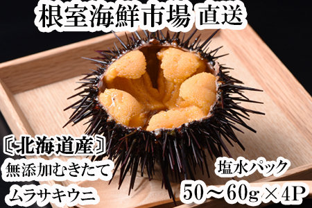 無添加むきたてムラサキウニ塩水パック50～60g×4P[5月下旬以降発送] B-11068