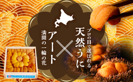 【数量限定】花折うに 豪華100g×3枚セット(松)_H0009-007
