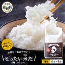 【ふるさと納税】令和6年産 新米 徳島県那賀町産 ぜったい米(こめ)だ 6合×1袋 ゆうだい21【徳島 那賀町 国産 米 お米 白米 精米 徳島県産 国産米 高級米 単一原料米 おいしい 冷めても美味しい お弁当 おにぎり 贈物 プレゼント お歳暮 ギフト プチギフト 産地直送】ZP-2