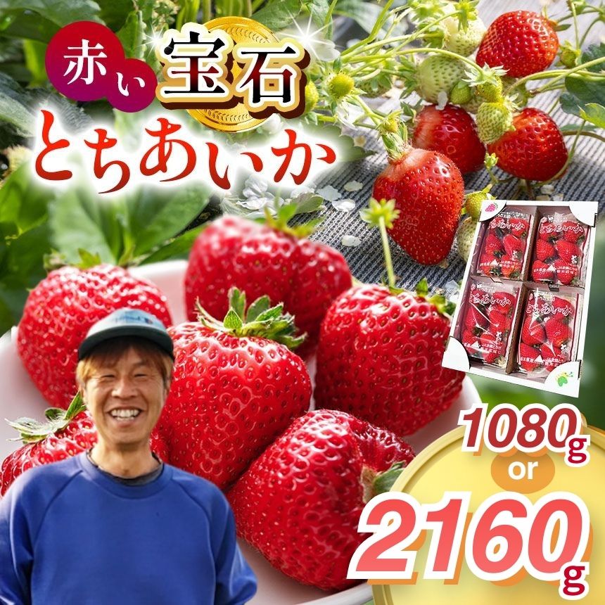 【ふるさと納税】真岡市産 赤い宝石「とちあいか」いちご イチゴ 選べる 1080g or 2160g | 苺 strawberry ストロベリー おいしい 甘い ジューシー 贈答用 プレゼント ご褒美 スイーツ おやつ 高評価 人気 レビュー 栃木県 真岡市 日本一 送料無料