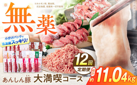 【12回定期便】豚肉大満喫コース 計11.04kg 藤井ファーム[AWAF074]豚肉セット