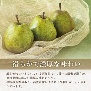 SA3075　六代多右エ門　西洋梨 ラ・フランス 秀品　約3kg(9～10玉) 