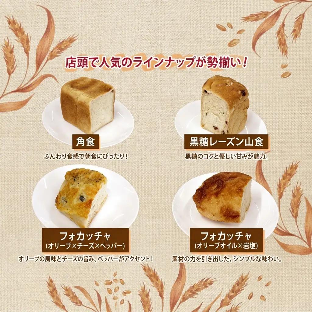 自家製酵母パン 人気の定番セット Mサイズ パン 道産 小麦 自家製 酵母