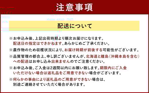 福岡産【春】 フルーツ専門店が選んだ あまおう 4パック いちご 苺 果物 フルーツ 福岡 太宰府【2026年2月上旬~3月下旬発送予定】
