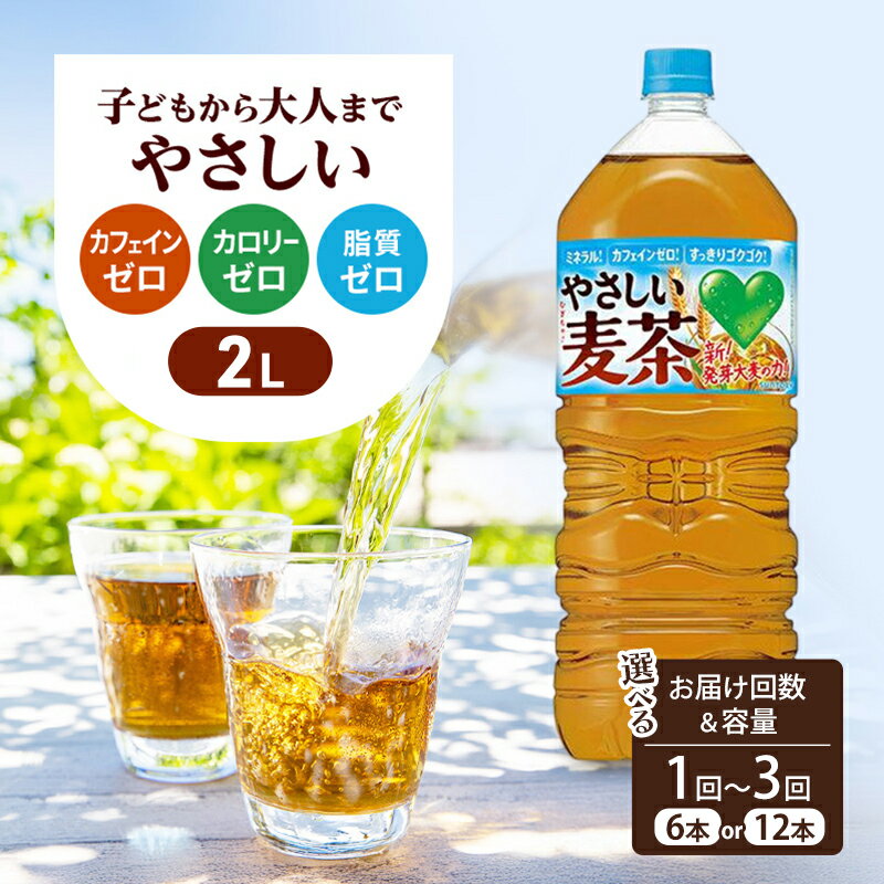 【ふるさと納税】お茶 GREEN DA・KA・RA やさしい麦茶 選べる本数2L×6本 or 12本　選べるお届け回数 1回 2回 3回 麦茶 ドリンク