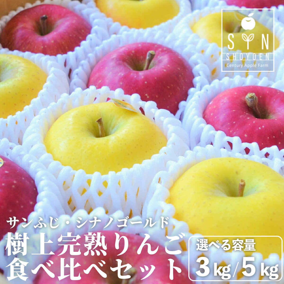 【ふるさと納税】先行予約 りんご 食べ比べ セット サンふじ シナノゴールド 3kg 7個〜9個 5kg 12個〜18個 選べる 松陽園 樹上 完熟 林檎 リンゴ 岩手県 遠野市 産 農家 産地 直送 フルーツ 果物 果実 品種 ギフト お歳暮 味比べ 品種 送料無料 2025年11月から発送