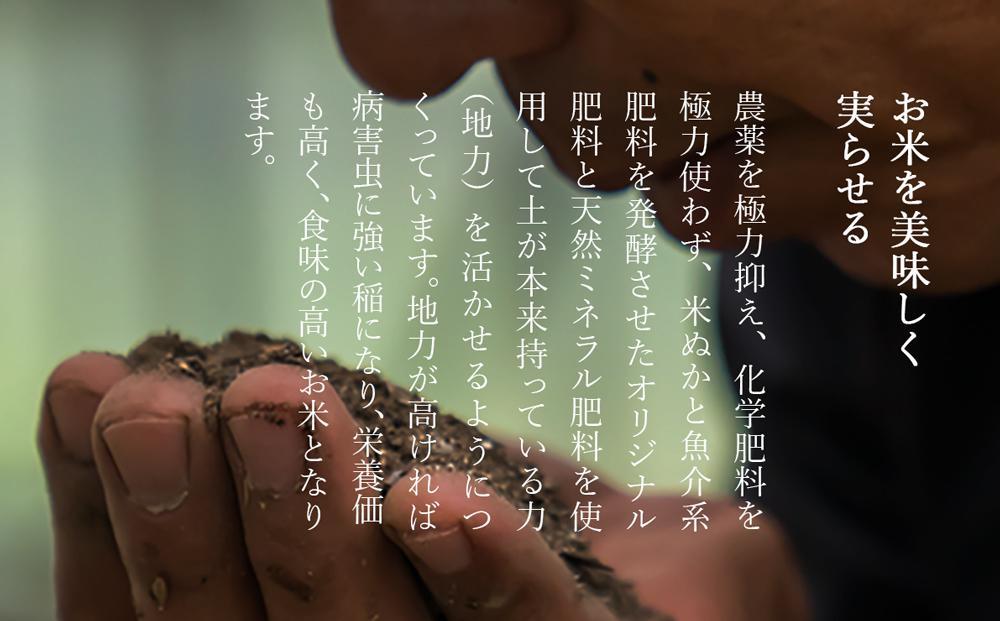 【令和７年産新米予約／令和７年（2025年）９月上旬より順次発送】南魚沼産 笠原農園米 コシヒカリ玄米 ５kg