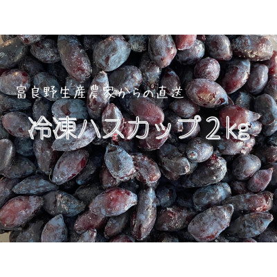 
            冷凍ハスカップ　2kg_ ハスカップ 果物 フルーツ ベリー くだもの 冷凍 新鮮 農家直送 北海道 富良野 人気 おすすめ 送料無料 【1617009】
          