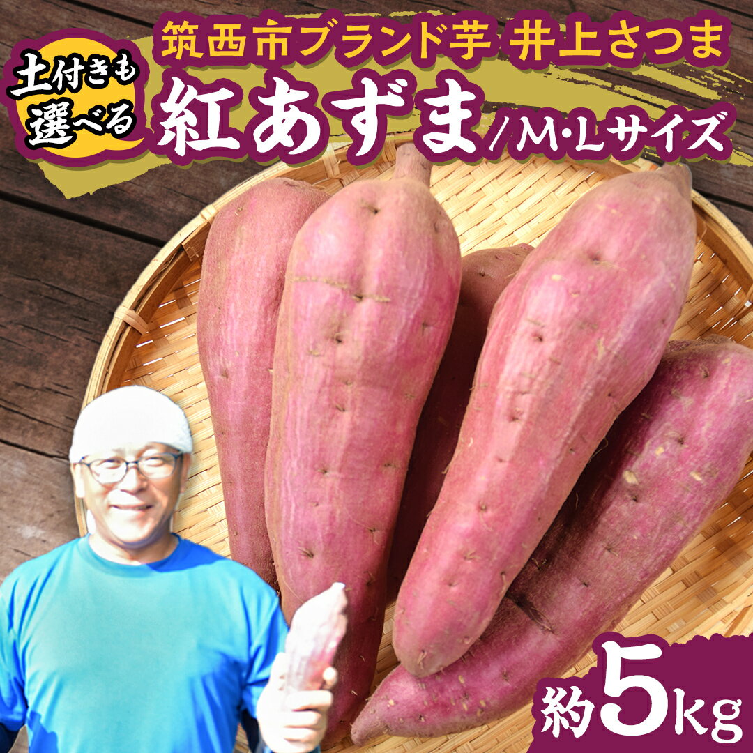 【ふるさと納税】【 よしのいも 】井上さつま 「 紅あずま 」 M・Lサイズ 約5kg (選べる 土付き / 土なし ) 完熟 さつまいも いも おいも 焼き芋 芋 おやつ まごころ野菜よしの