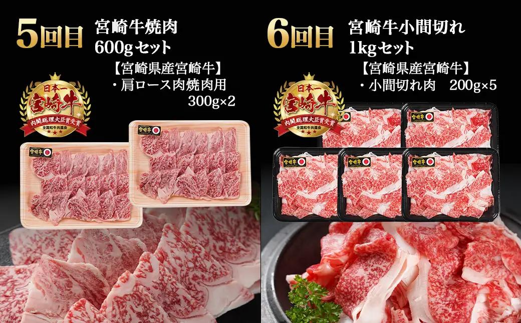 ≪全6回定期便≫宮崎牛と宮崎県産若鶏の定期便8.2kg〔TAD6-I601〕_(都城市) 4等級 5等級 スライス ステーキ 焼肉 小間切れ 若鶏もも肉 皮なしむね肉