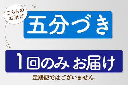 《新米先行受付》【5分搗き】あきたこまち 27kg 秋田県産 令和7年産  こまちライン