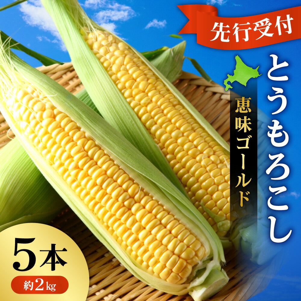 【ふるさと納税】 先行受付 とうもろこし 恵味ゴールド 5本 約2kg スイートコーン コーン 朝採り 朝もぎ トウモロコシ とうきび やさい 野菜 夏野菜 冷蔵 北海道 札幌市