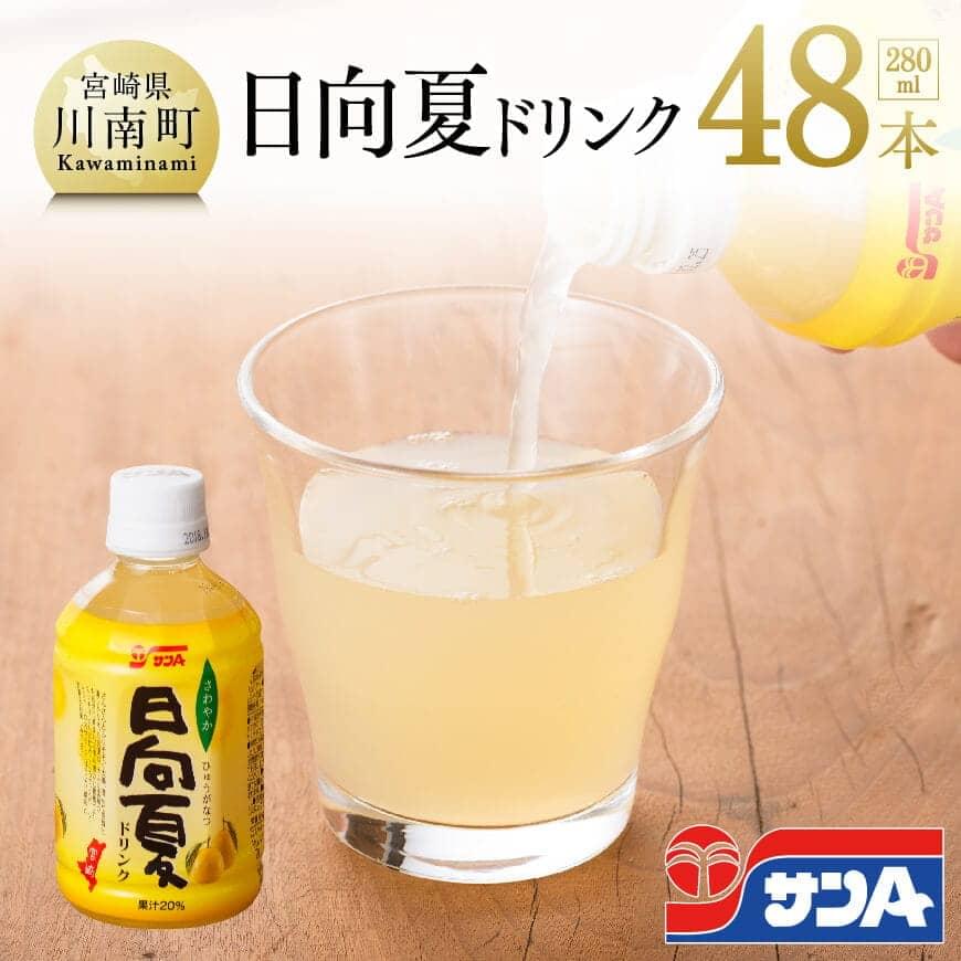 『サンA日向夏ドリンク』280ml×48本セット 日向夏 ジュース ドリンク 果汁飲料 ペットボトル