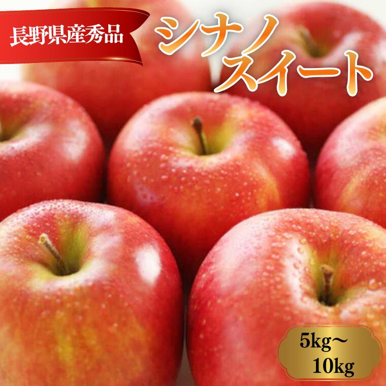 【ふるさと納税】りんご シナノスイート（長野県産秀品）約5kg・約10kg／10月中旬～11月中旬頃 配送予定 // 長野県 南信州 シナノ スイート りんご 果物 フルーツ MS09 MS10