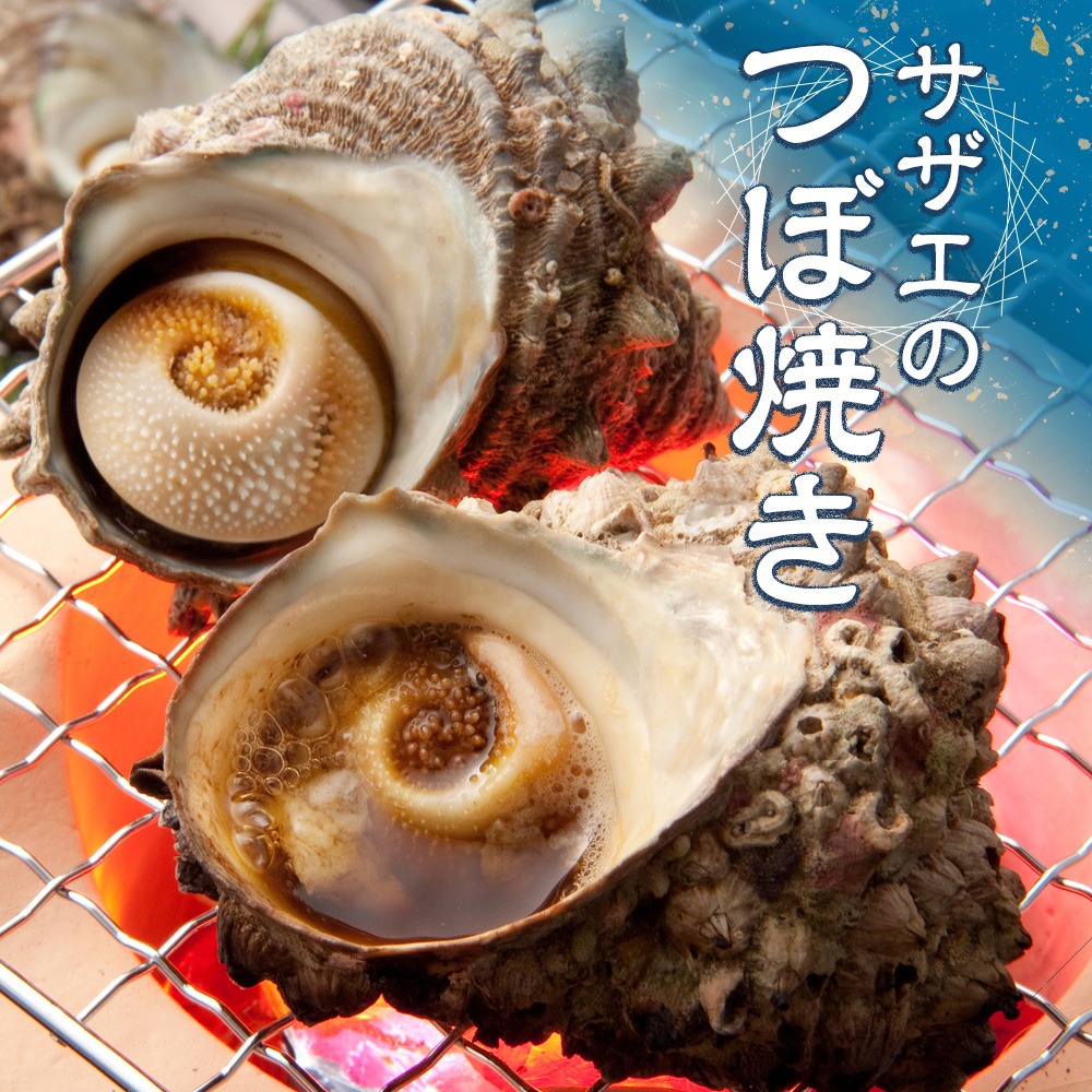 （冷蔵）活きサザエBコース　約2kg（16〜24ヶ入り）山金商店／　貝　さざえ　海鮮　新鮮　伊勢志摩