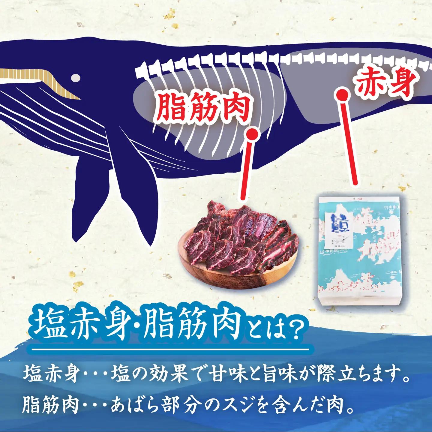 【旨味たっぷり】鯨2種 600g（塩赤身鯨ハラミ浅漬け 300g 塩鯨炙り用脂筋肉 300g)  [DBM011]  赤身