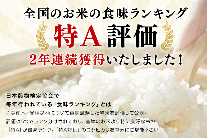令和7年産 新米 コシヒカリ 米 10kg ( 5kg ×2 ） 白米 こめ こしひかり 国産 国産米 取り寄せ ごはん ご飯 コメ お取り寄せ お弁当 弁当 おにぎり 産地直送 特産  ギフト プレ