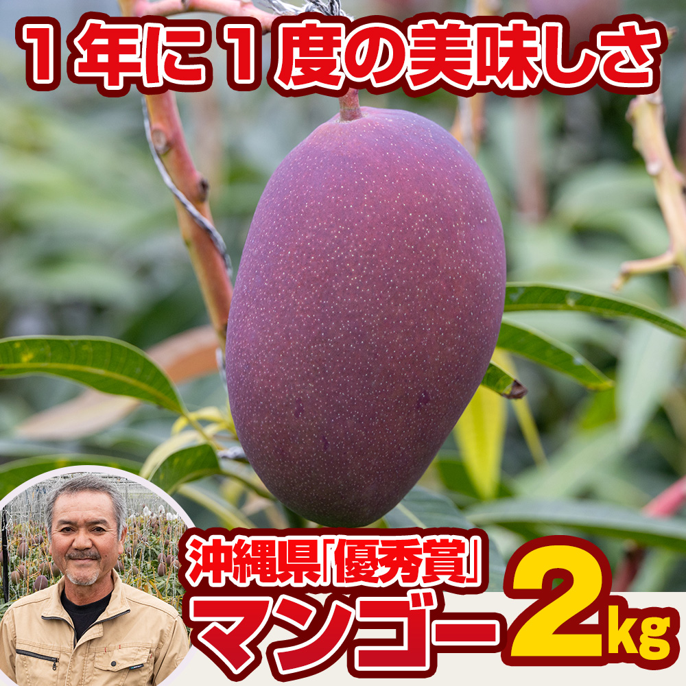 【2025年発送】芳醇な香り　とろける食感　沖縄県「優秀賞」マンゴー2kg_イメージ3