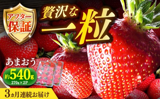 【先行予約】【全3回定期便】農家直送 朝どり新鮮いちご【博多あまおう】約270×2パック【2027年2月以降順次発送】 《築上町》【株式会社H&Futures】[ABDG008] 博多あまおう 生いちご 農家直送 あまおういちご 冷蔵 定期便 先行予約 朝採り いちご アマオウ あまおう amaou 予約 産地直送 博多あまおう 定期 ていきびん くだもの 朝採れ 苺 36000 36000円