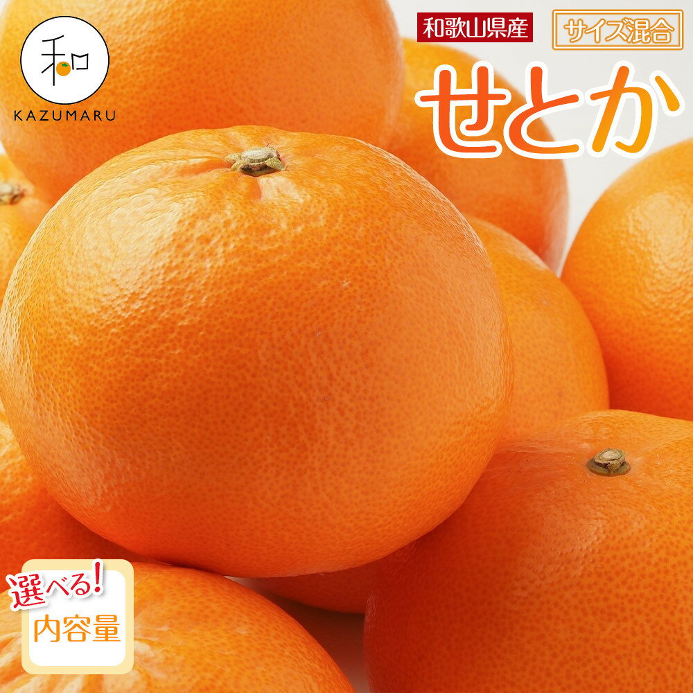 【ふるさと納税】【選べる容量】森本農園の手選別 せとか 約2kg～5kg 和歌山県産 サイズ混合 ［北海道・沖縄・離島配送不可］［2026年2月上旬から順次発送予定］ | せとか 蜜柑 フルーツ 果物 くだもの 食品 人気 おすすめ 送料無料