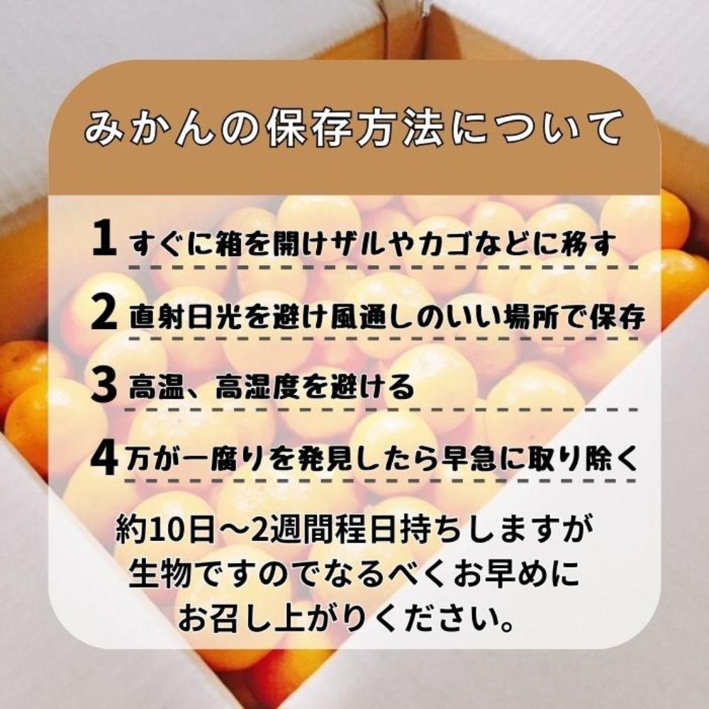 有田みかん 早生S～Lサイズ混合 約600kg【2026年発送 先行予約】 ER06_イメージ4
