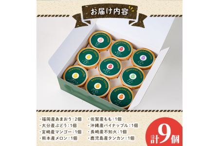 九州ジェラートセット(9個入) アイス アイスクリーム 苺 いちご イチゴ あまおう ぶどう マンゴー メロン もも モモ 桃 パイナップル パイン 不知火 しらぬい タンカン たんかん フルーツ 国