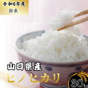 【ふるさと納税】 【先行予約／令和6年度新米】 ヒノヒカリ 30Kg ［精米］［山口県宇部産］ 【令和6年度 新米 ヒノヒカリ 30Kg 精米 山口県産 宇部産 地元米 農家直送 宇部市産 美味しい お米 寒暖差 霜降山麓 綺麗な水 高品質米 新鮮米 収穫直後 国産米 ご飯 炊き立て 】