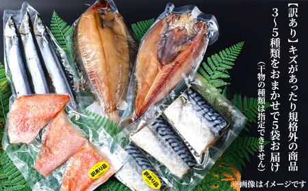 fn-26-037 【訳あり品】 釜石ひもの屋さんのおまかせ干物 5袋 永野商店