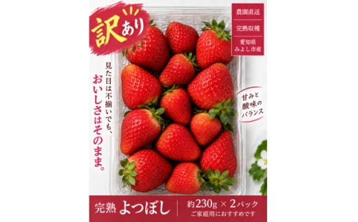 【訳あり・家庭用】【産直】完熟よつぼし　規格外 2パック(約460g)【1781841】