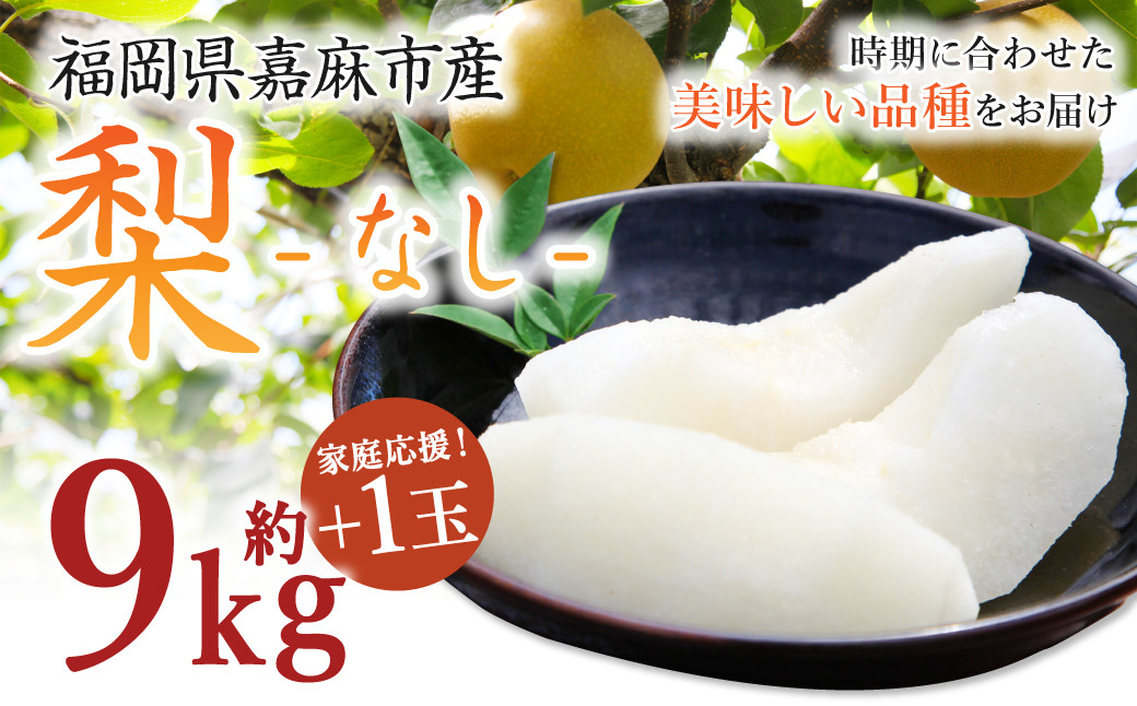 
            【家庭応援】 梨 9.0kg+1玉 【2025年8月上旬-12月上旬発送予定】 ナシ フルーツ くだもの 福岡県 嘉麻市
          
