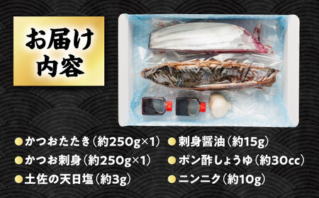 生 びりガツオたたきと刺身 約250g/節 2節  冷蔵 かつおのたたき 鰹&nbsp;カツオ 魚 さかな 海鮮 魚介類 本場 土佐 個包装 ふるさと納税カツオ 高知県 高知市 刺し身 天然 【ゆず庵