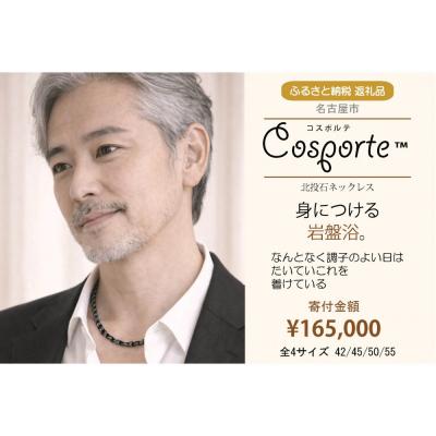 ふるさと納税 名古屋市 コスポルテ30【45cm】