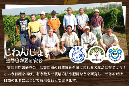 笠間自然薯研究会の自然薯カット 約600g 自然薯 長芋 山芋 とろろ とろろご飯 野菜 ねばねば 健康食品 美容効果 笠間市産 茨城県産 栄養たっぷり ギフトに最適 新鮮 国内生産 高級根菜 美容 