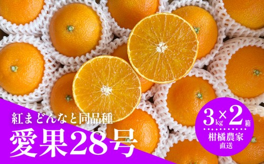 【2026年11月下旬頃から順次発送】 数量限定 愛果28号（紅まどんなと同品種） 約3kg×2箱｜ 愛媛 あいか 柑橘 あいか えひめ  くだもの あいか 松山  みかん あいか 北条 フルーツ ミカン