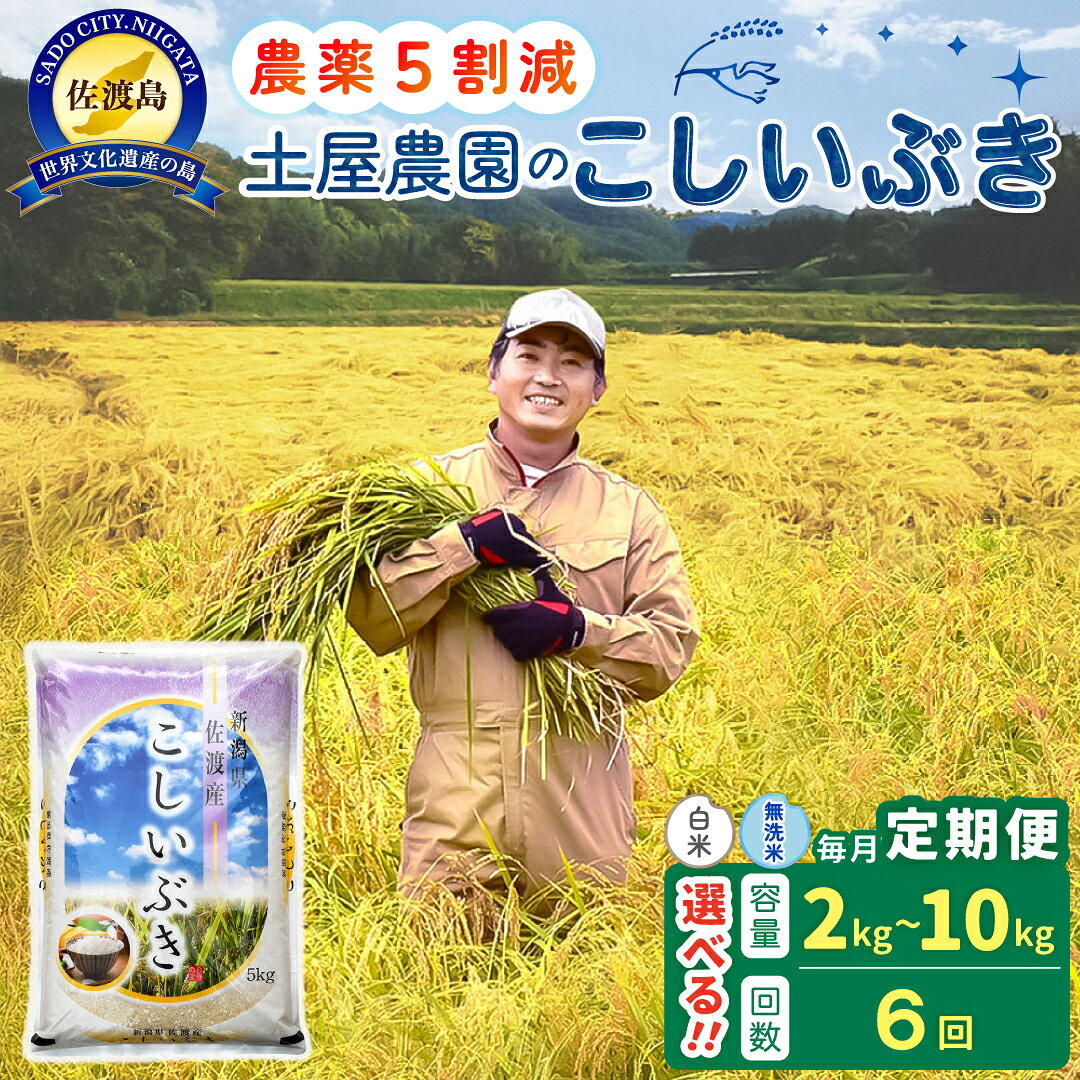 【ふるさと納税】【6か月定期便】佐渡島産こしいぶき 白米 or 無洗米 選べる容量 2Kg 4Kg 5Kg 10Kg 令和8年 〜農薬5割減〜 農家直送