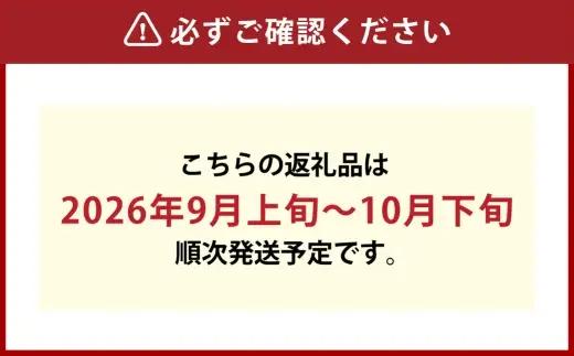 つる付きニューピオーネ 2房 （ 1房 580g以上 ） 露地栽培 ニューピオーネ つる付き 果物 くだもの 果実 フルーツ 葡萄 ぶどう ブドウ 【 2026年9月上旬～10月下旬発送予定 】
