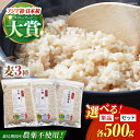 ＜栽培期間中農薬不使用＞丸麦 500g ( 1等麦 ) 江北町産 サチホゴールデン 【葦農】