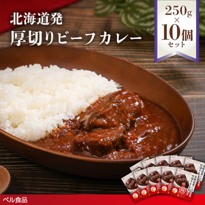 北海道発厚切りビーフカレー 250g 10個セットen01-00238