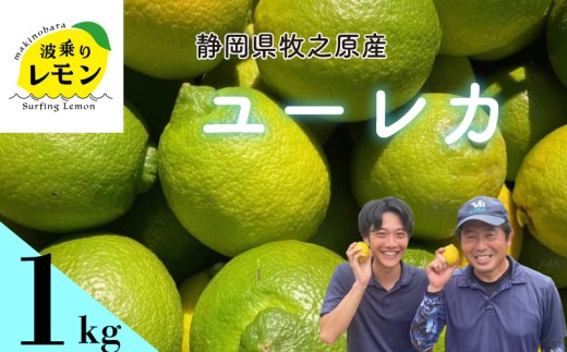 【国産 レモン】牧之原産 波乗りレモン ユーレカ 1kg  国産 Lemon 檸檬  柑橘類 柑橘 フルーツ  柑橘類 柑橘 フルーツ 果物 酸っぱい 果肉 酸味 防腐剤不使用 自宅用 贈答品 レモンスカッシュ レモンパウンドケーキ レモンサワー くだもの 家庭用 静岡県産 農家直送 産地直送 産直 きいろ みどり  グリーンレモン イエローレモン おすすめ 美味しい  静岡県 牧之原市