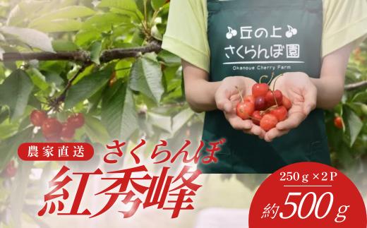 【2026年発送先行予約】さくらんぼ　紅秀峰 約500g　※2026年6月中旬～7月上旬発送予定※